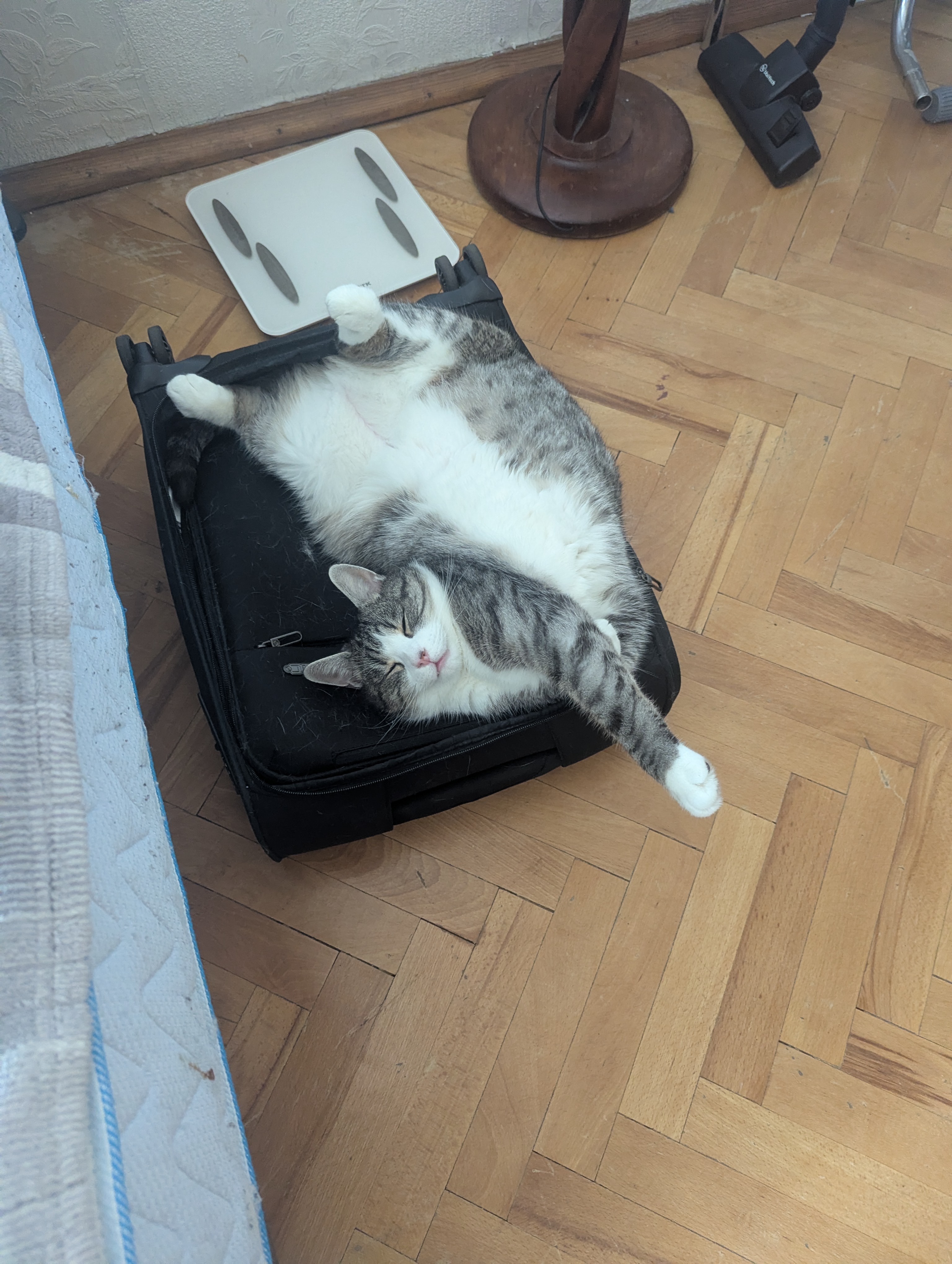 Копьё - жопа