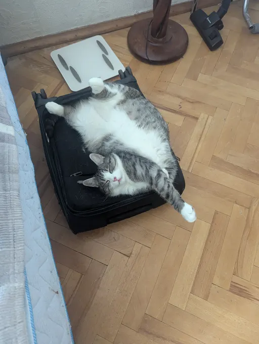Копьё - жопа